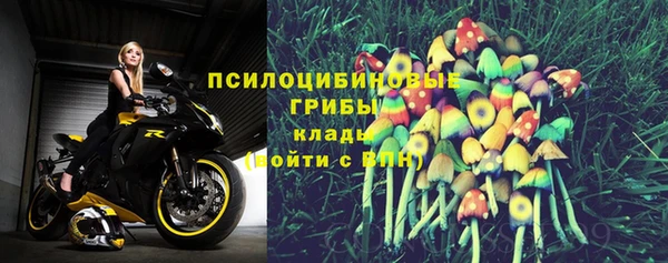 ALPHA-PVP Гвардейск