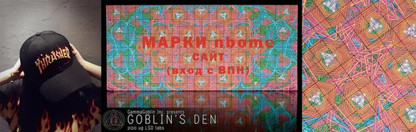 PSILOCYBIN Гатчина