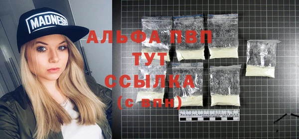 a pvp Новодвинск