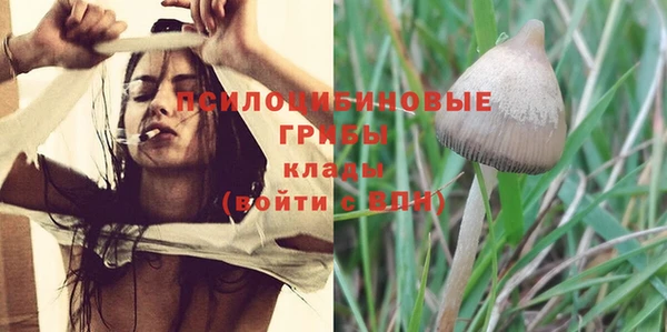 a pvp Новодвинск