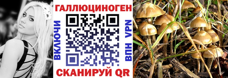 Псилоцибиновые грибы прущие грибы  даркнет клад  Злынка 
